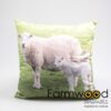 Buitenkussen schapen 45x45cm | Farmwood Animals