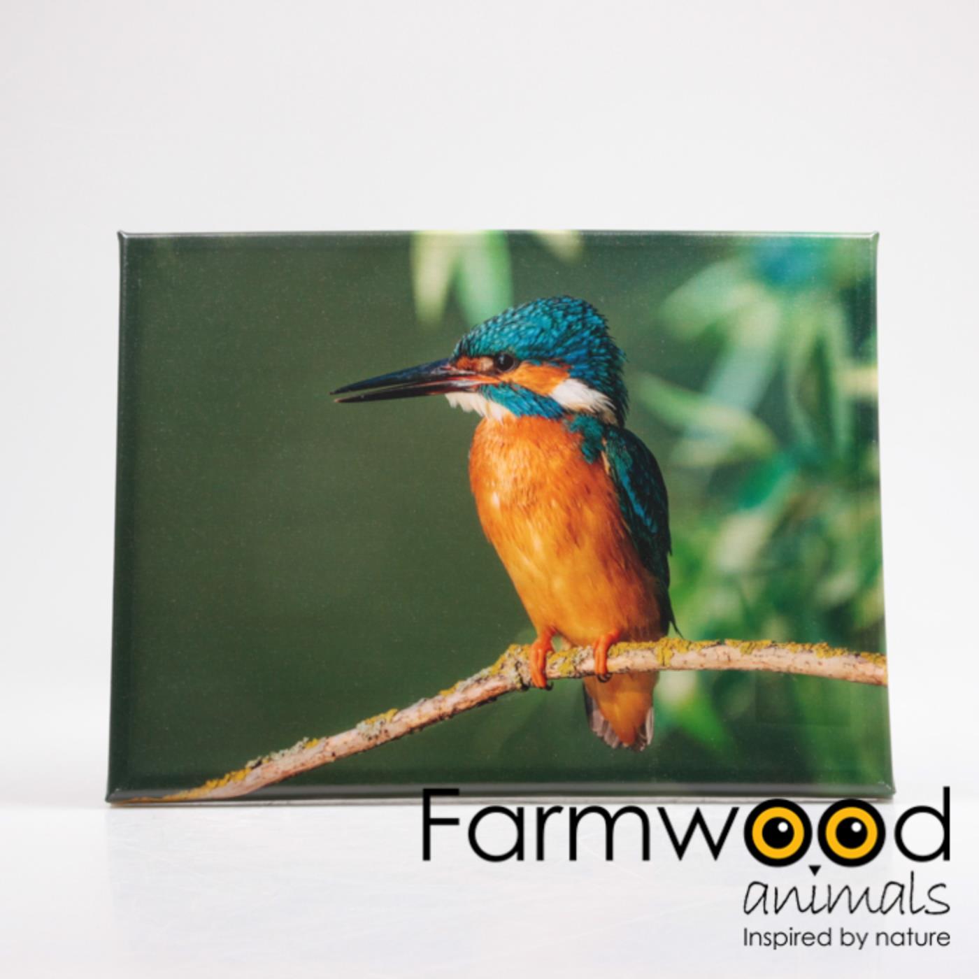 Buitenschilderij ijsvogel 30x40cm | Farmwood Animals