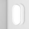 C-Series - LED Plafondlamp wit ovaal - Wandlamp - Scheepslamp - IP54 - 12W 1160lm - 6500K Daglicht wit - voor binnen en buiten | HOFTRONIC