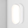 C-Series - LED Plafondlamp wit ovaal - Wandlamp - Scheepslamp - IP54 - 18 Watt 1830lm - 4000K neutraal wit - voor binnen en buiten | HOFTRONIC