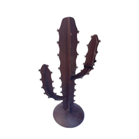 Cactus bruin M |