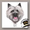 Cairn Terrier tegeltje | The Heads