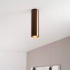 Canopus bronzo m by LUSENZ - Cilindervormige opbouwspot in met geborsteld bronzen coating | LUSENZ