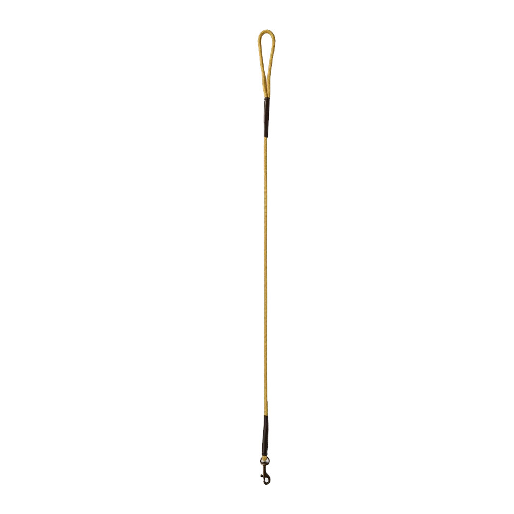 Charlie Hondenriem Gold | Dubarry
