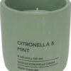 Citronella kaars in pot 10cm groen | Pro Garden