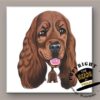 Cocker Spaniel tegeltje | The Heads