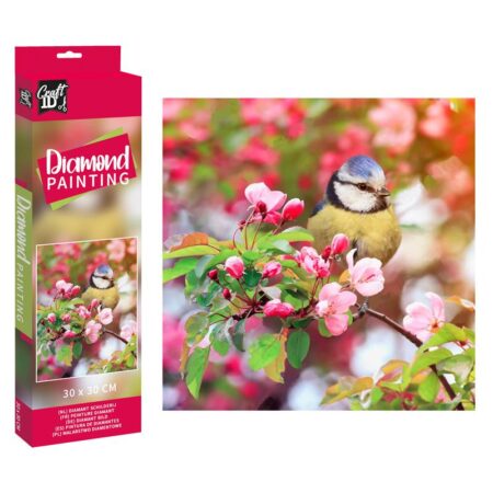 Craft ID Diamond Painting vogel 30x30cm | Grafix