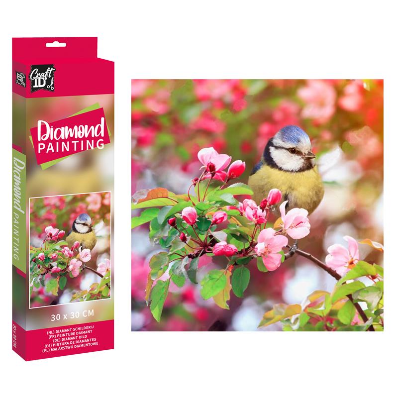 Craft ID Diamond Painting vogel 30x30cm | Grafix