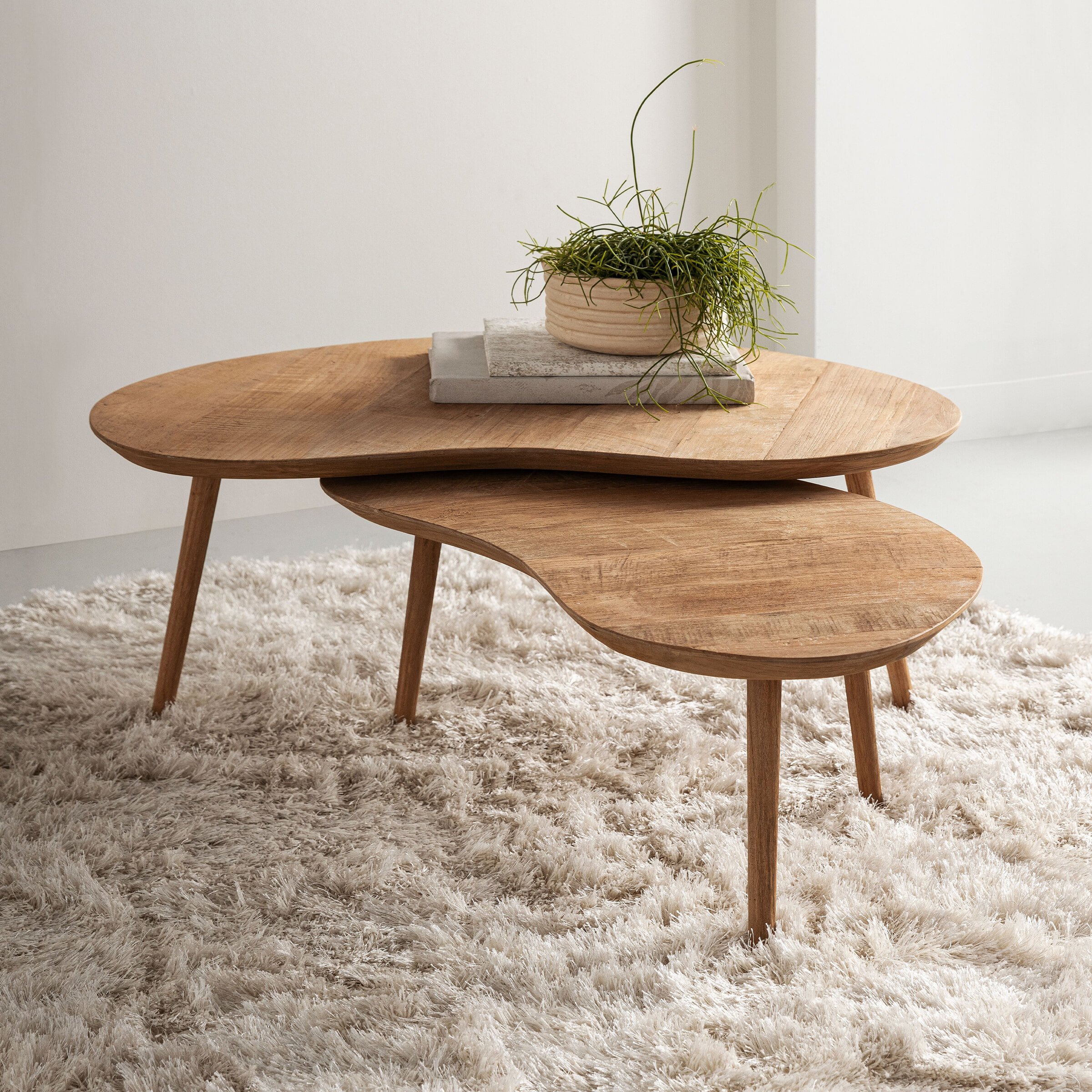 DTP Home Organische Salontafel Apollo Teakhout