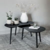 DTP Home Organische Salontafel Organus Teakhout