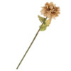 Dahlia taupe |
