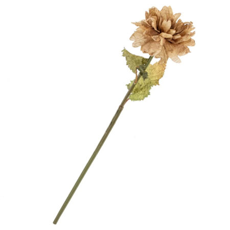 Dahlia taupe |