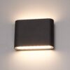 Dallas S LED Wandlamp Zwart - 6 Watt 360lm - IP54 Waterdicht - 3000K Warm Wit - Dimbaar - Binnen en buitenlamp - Up & down light - Modern | HOFTRONIC