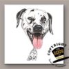 Dalmatier tegeltje | The Heads