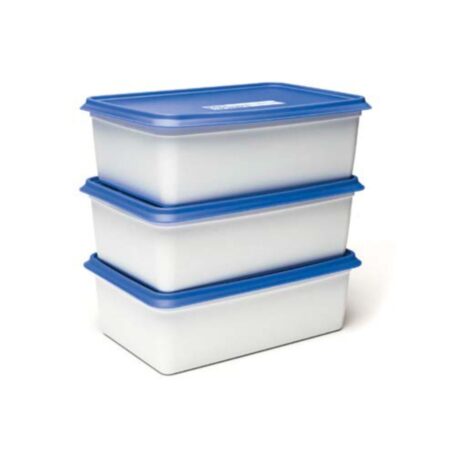 Day To Day Diepvriesbak Set 3x2000ml Alaska |
