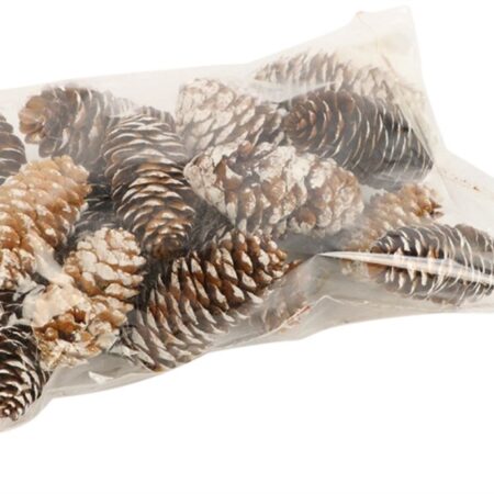 Decoratieset Pinecone Spruce 150gr | HBX natural living