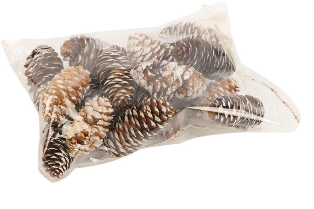 Decoratieset Pinecone Spruce 150gr | HBX natural living