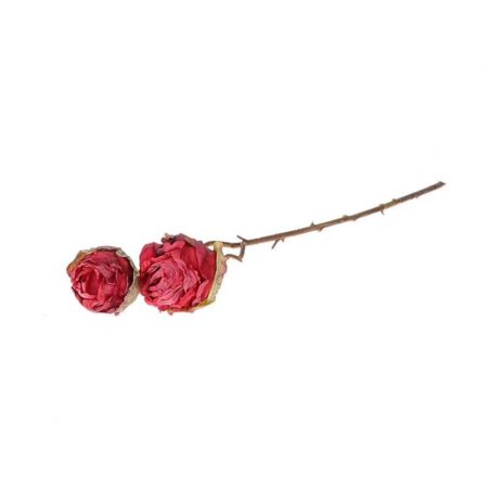 Decotak roos 45cm rood | HBX natural living
