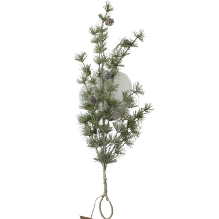Dennentak 62x25x9cm groen | Dijk Natural Collections