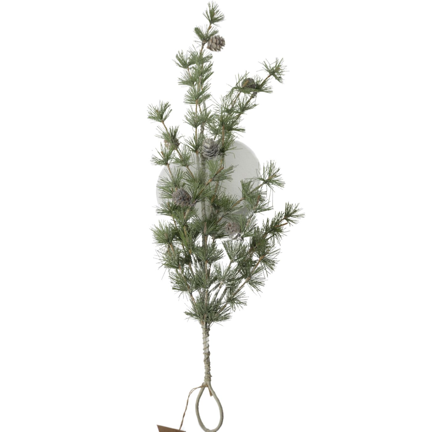 Dennentak 62x25x9cm groen | Dijk Natural Collections