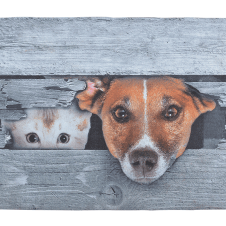 Deurmat Kiekeboe Hond en Kat | Esschert Design