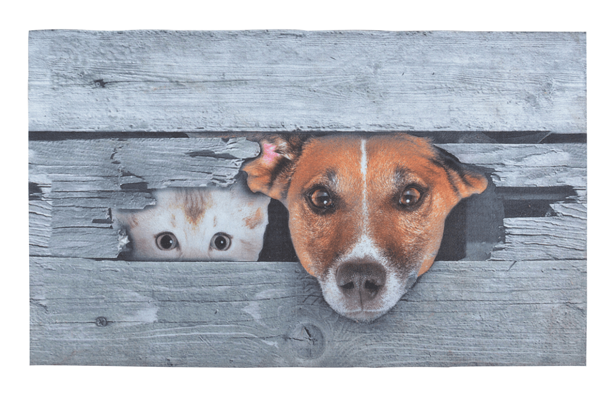 Deurmat Kiekeboe Hond en Kat | Esschert Design