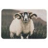 Deurmat schaap met horens |