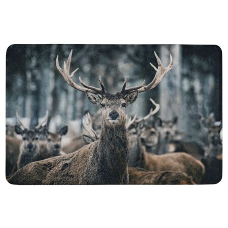 Deurmat winter hert |