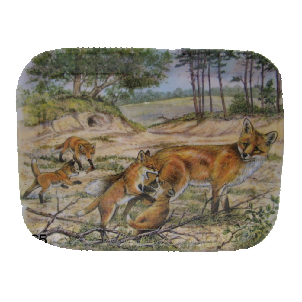 Dienblad Vos Middel |