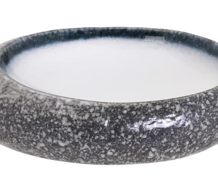 Diep Bord Tajimi - Robuust Porselein - Grijs/Wit - 19 x 14.5 x 4.5 cm | Tokyo Design Studio