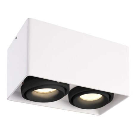 Dimbare LED Opbouwspot plafond Esto Wit/Zwart 2 lichts kantelbaar 4 Watt 2700K | HOFTRONIC