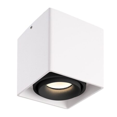 Dimbare LED Opbouwspot plafond Esto Wit/Zwart kantelbaar 4 Watt 2700K | HOFTRONIC