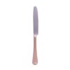 Dinermes Vintage - Elegant Ontwerp - 22.2cm | Geen Merk