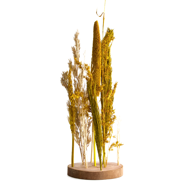 Droogbloemen in standaard Ø15x30cm | Dijk Natural Collections