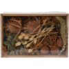 Droogbloemen mix in doosje Nature | Home & Styling