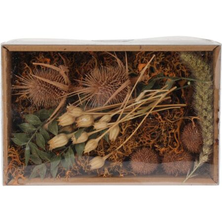 Droogbloemen mix in doosje Nature | Home & Styling