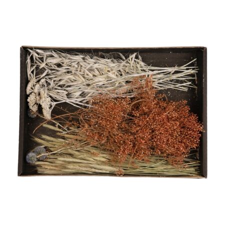 Droogbloemen mix tray 38x26x5cm | Naturel Collections