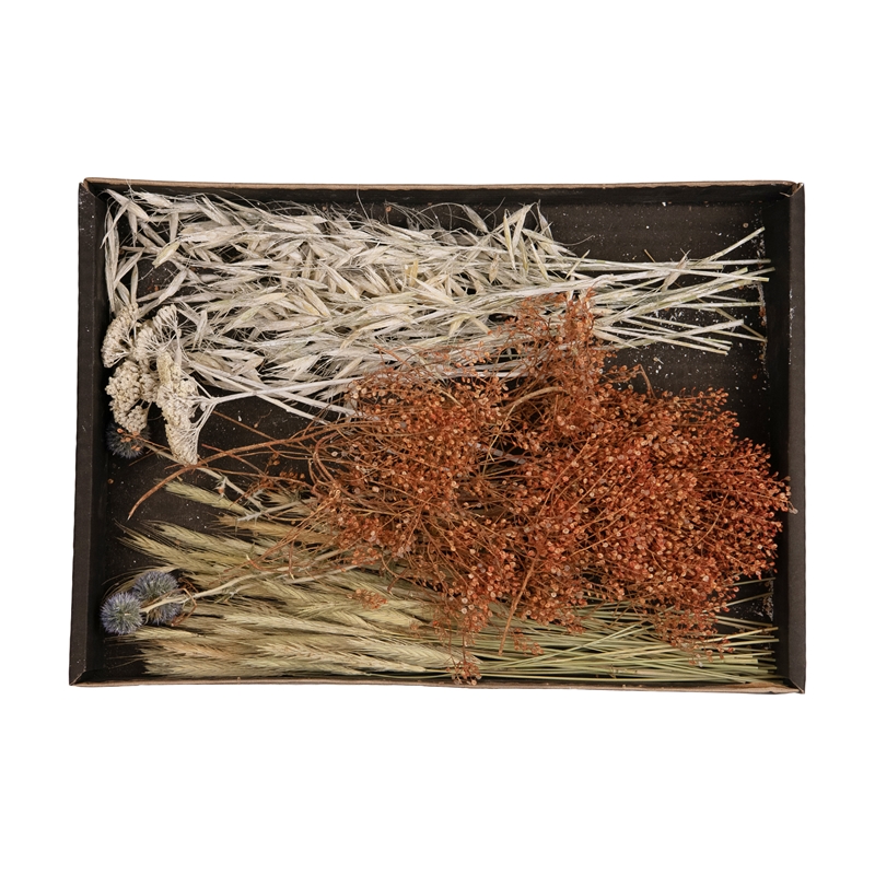 Droogbloemen mix tray 38x26x5cm | Naturel Collections
