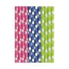 Duni Papieren Rietjes Cocktail Dots 25st | Duni