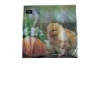 Duni Servetten Chicken with egg 33x33cm | Duni