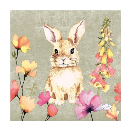 Duni Servetten Floral Friends 24cm | Duni