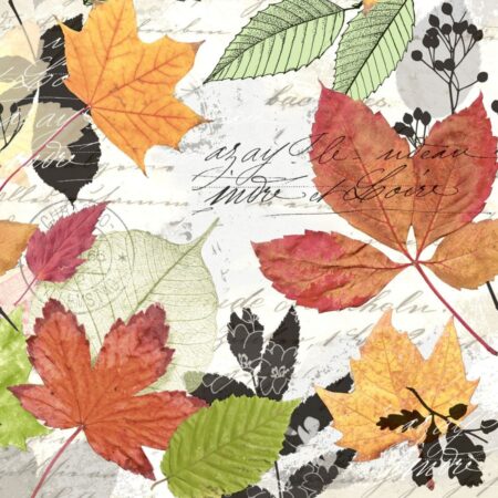 Duni Servetten Herbarium 33x33cm | Duni