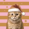 Duni Servetten Xmas Cat 33x33cm | Duni