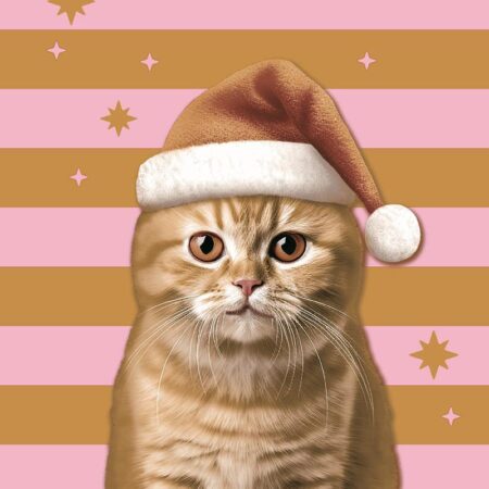 Duni Servetten Xmas Cat 33x33cm | Duni