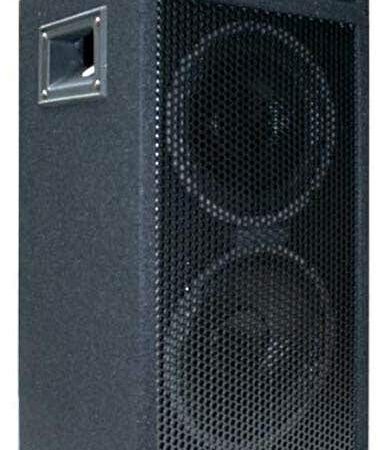 E-Lektron PW220 passieve PA speaker - Dubbele 8 inch woofer - 500W | E-Lektron
