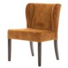 Eetstoel Purmerend Cognac |