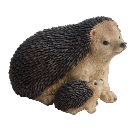 Egel met baby |