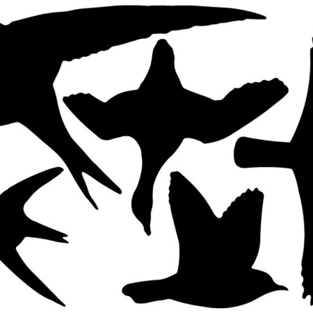 Esschert Design Raamstickers vogels | Esschert Design