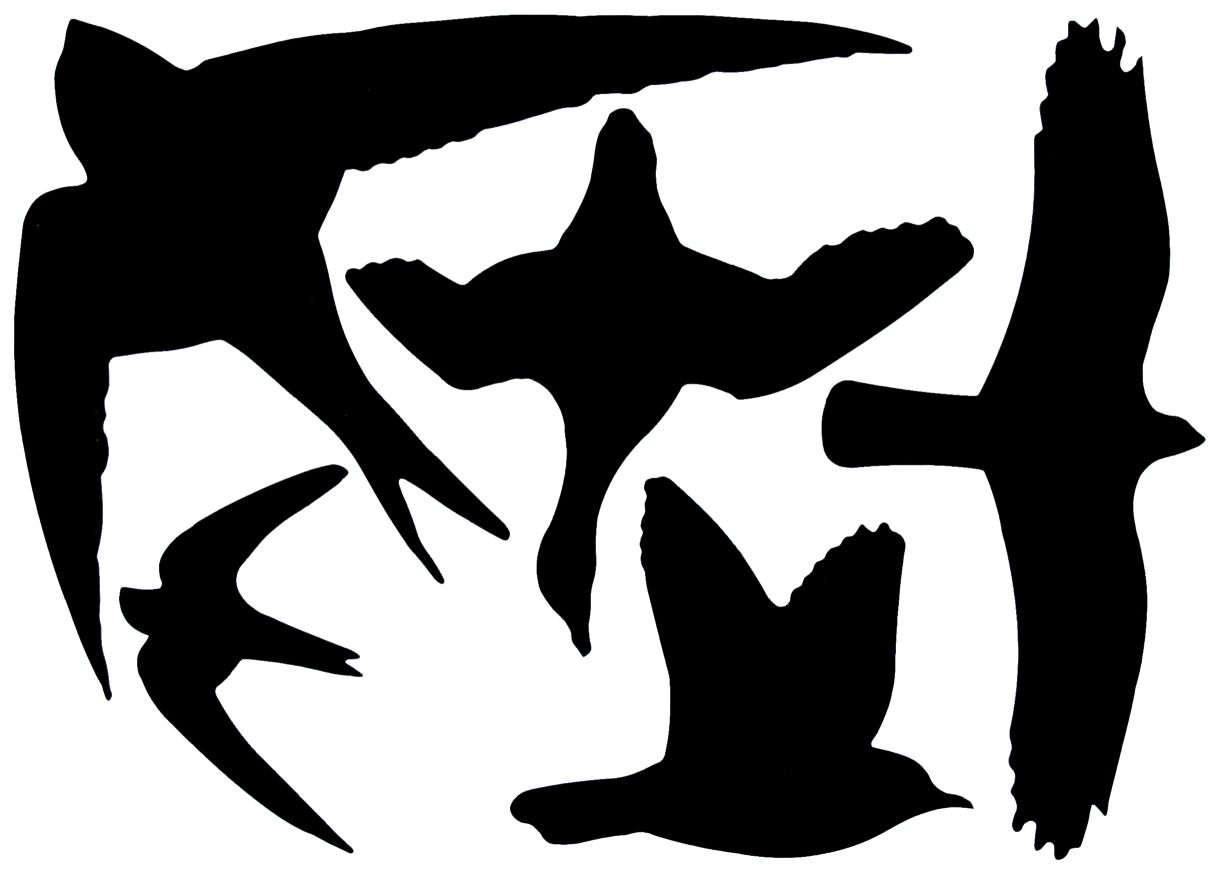 Esschert Design Raamstickers vogels | Esschert Design