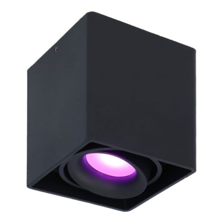 Esto smart Opbouwspot - Plafondspot - Kantelbaar - RGBWW - Wifi + Bluetooth - Google Home